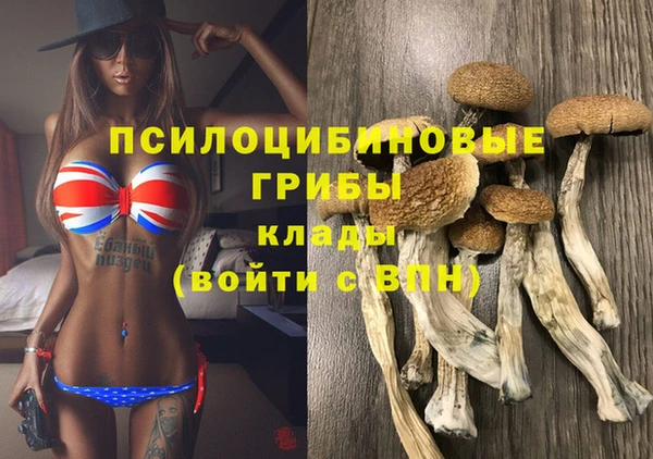 соль курить ск Осинники