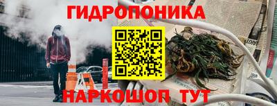 шишки Малгобек