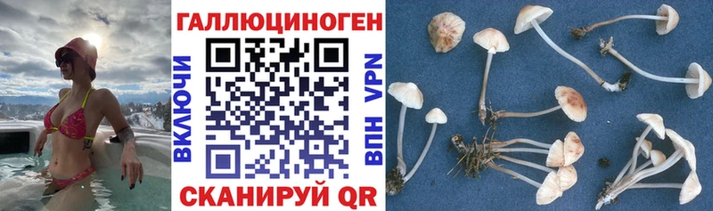 Псилоцибиновые грибы прущие грибы Красноперекопск