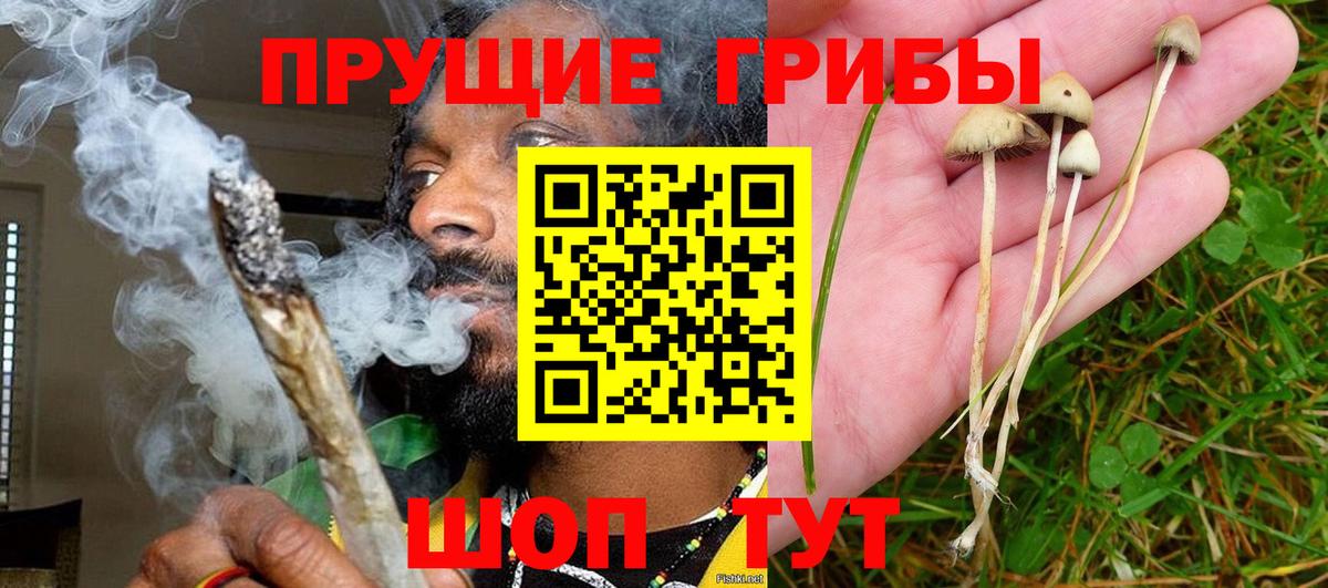 Красноперекопск  Галлюциногенные грибы Magic Shrooms  Вход с VPN 